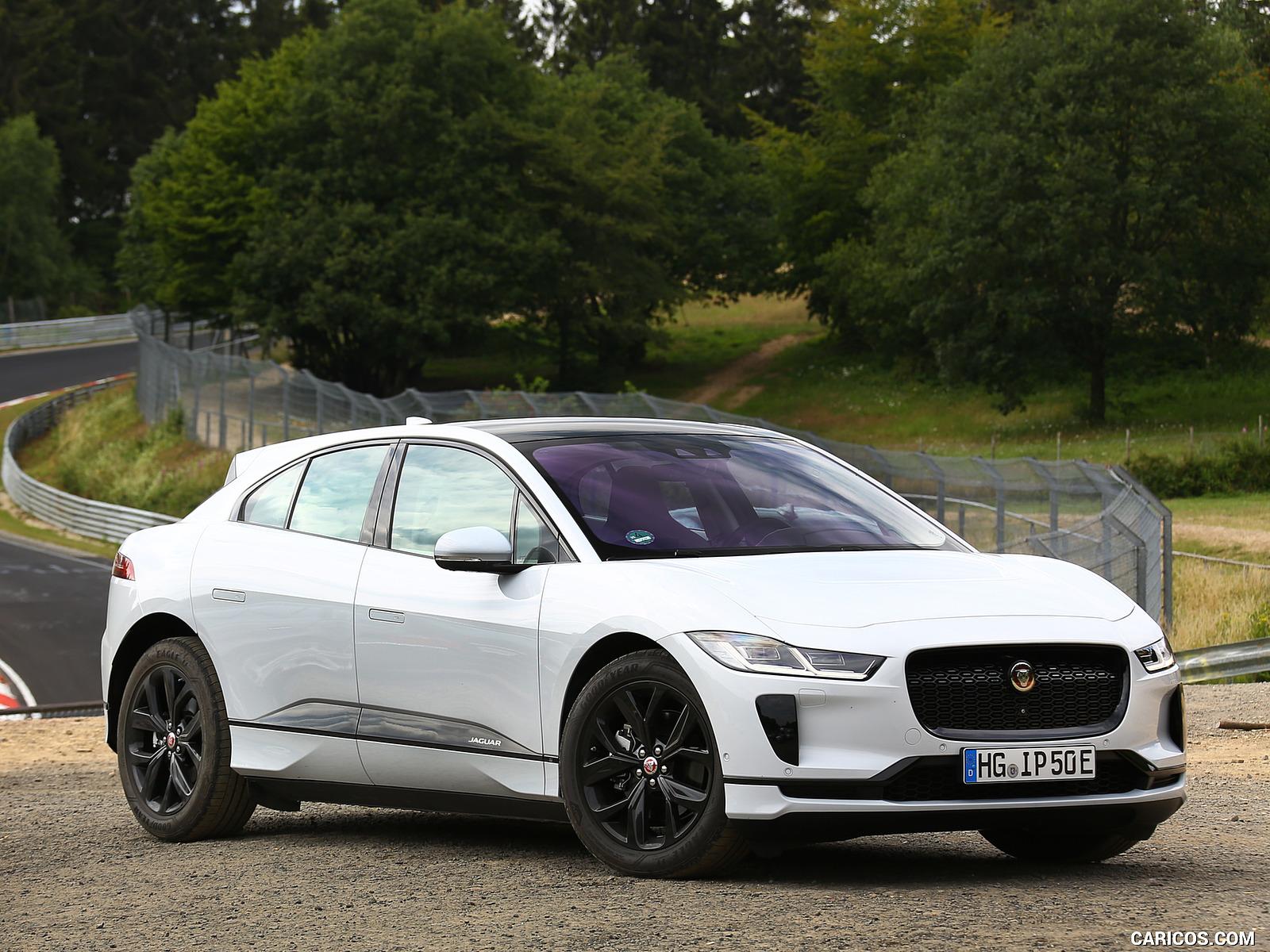 It is a Jaguar for a reason, you call for a domination