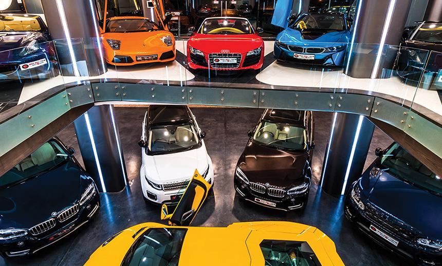 THE FAST PACED GANG!!