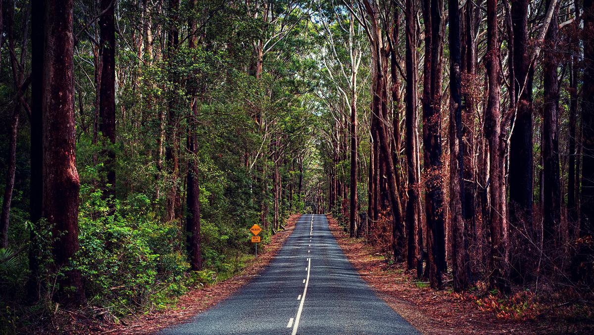 Driving Guidelines To Make Your Daily Journey Safe